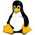 Avatar von Sportsfreund